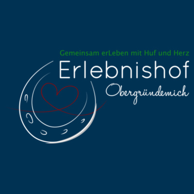 Rückendruck - Ladies' Basic-T   OCS Standard Design